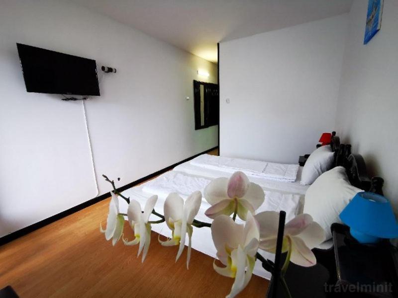 Hotel Balea Neptun Εξωτερικό φωτογραφία